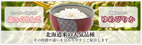 北海道米の人気品種　その特徴や違いをわかりやすくご紹介します